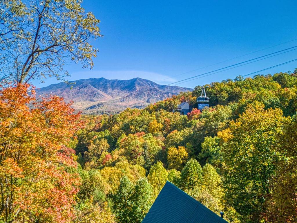 Four Bears Den Villa Gatlinburg Eksteriør bilde