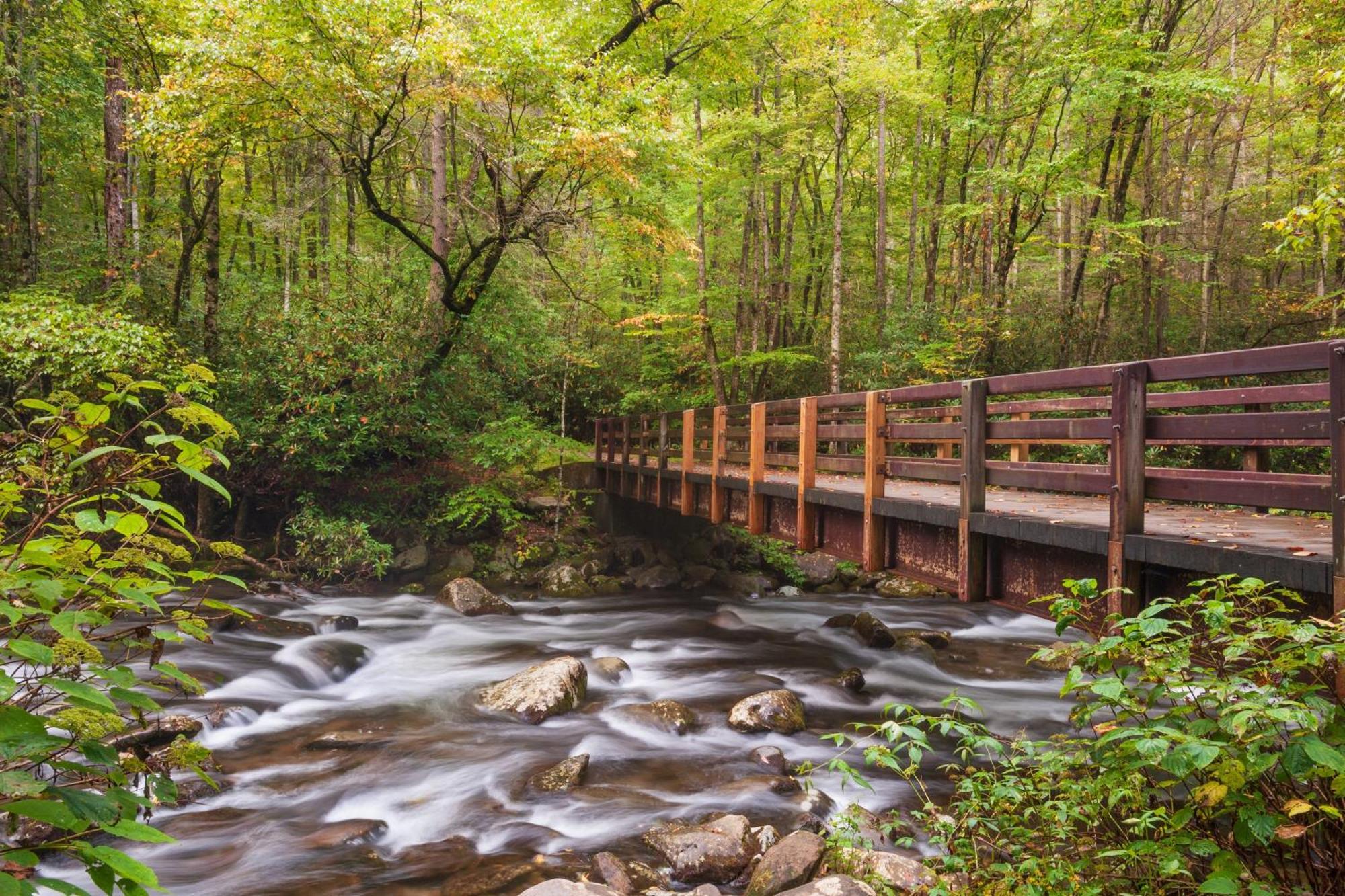 Four Bears Den Villa Gatlinburg Eksteriør bilde